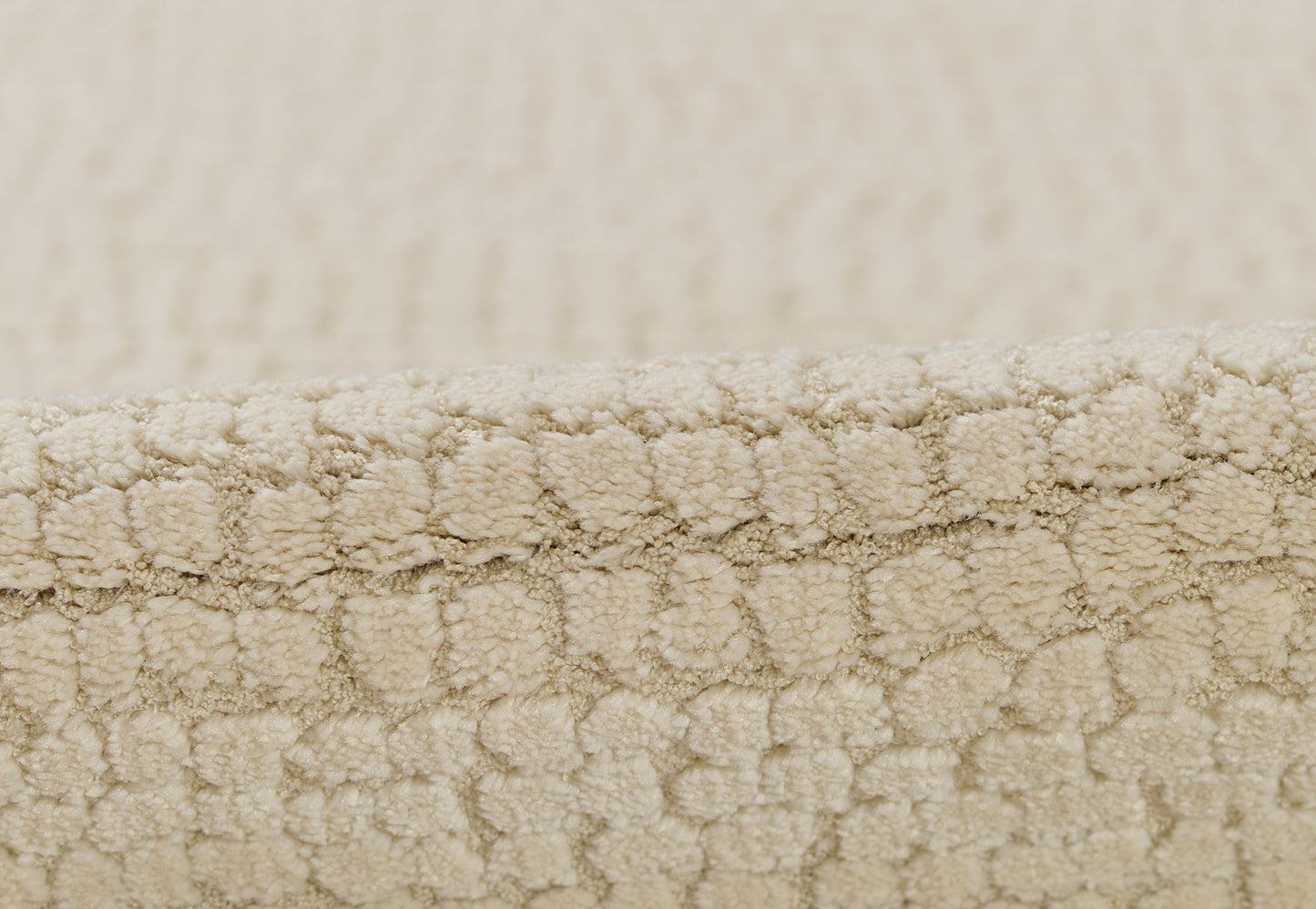 Momeni Wren  Ivory  Contemporary