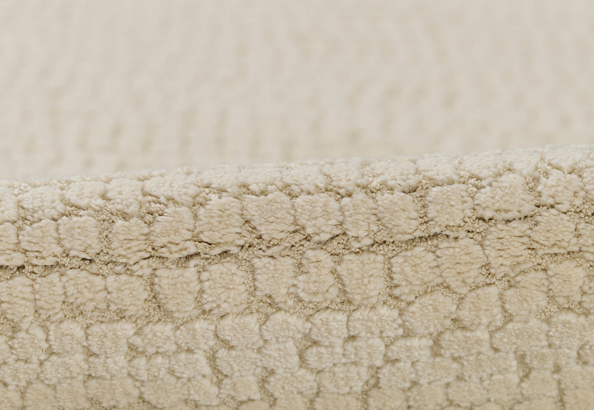 Momeni Wren  Ivory  Contemporary