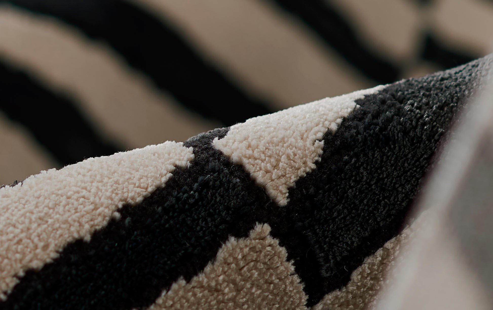 Momeni Xander  Black  Contemporary