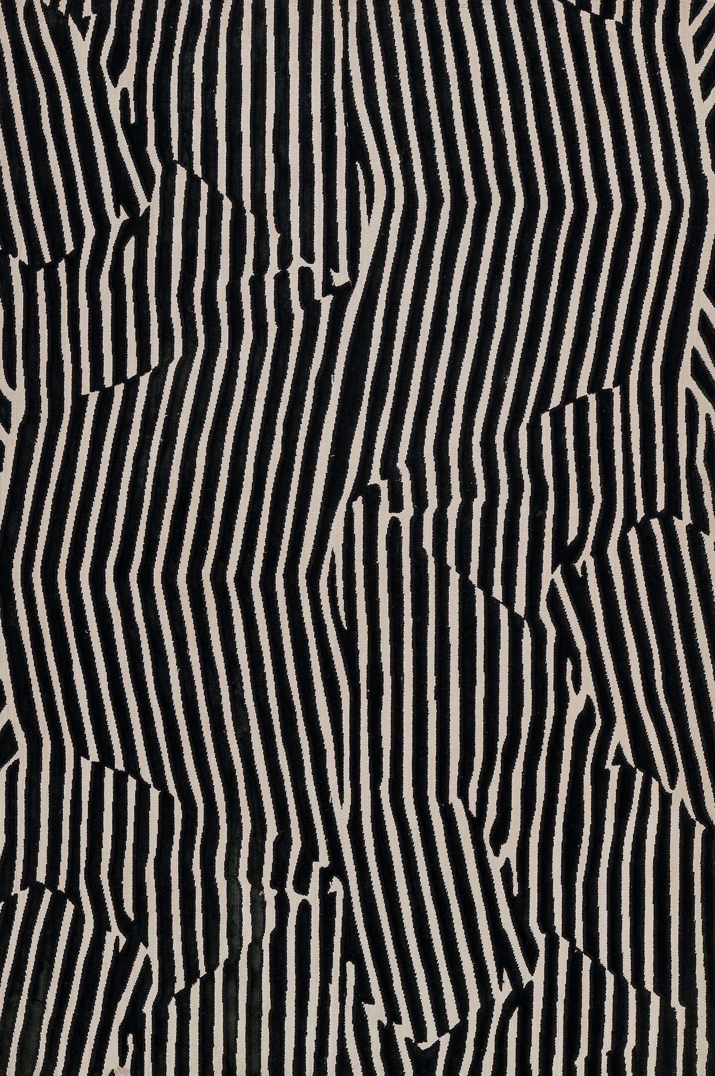 Momeni Xander  Black  Contemporary