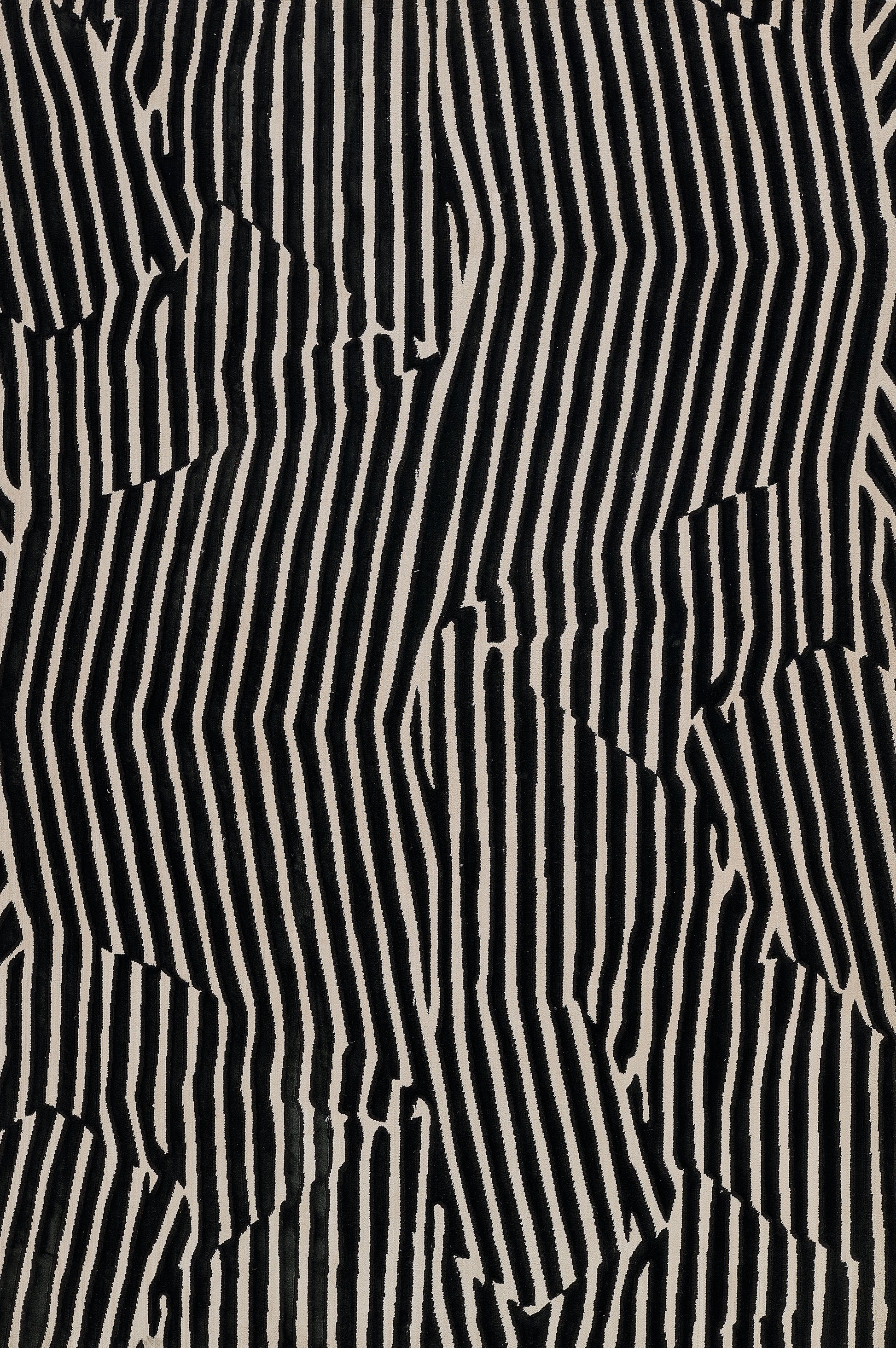 Momeni Xander  Black  Contemporary