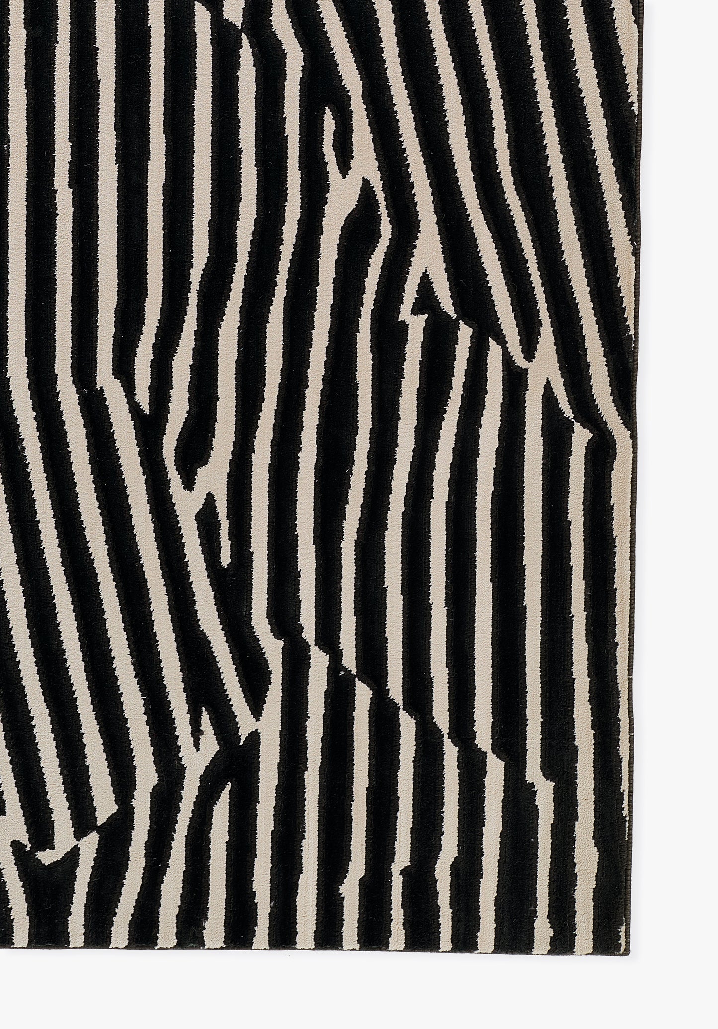 Momeni Xander  Black  Contemporary