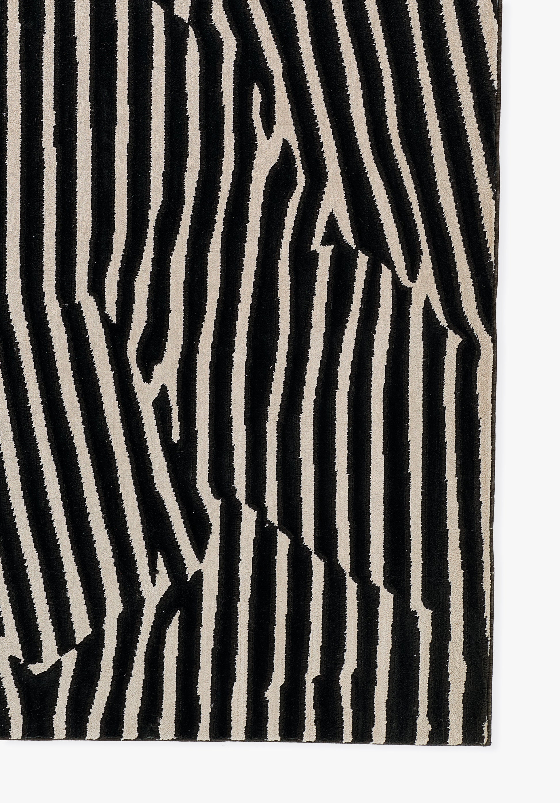 Momeni Xander  Black  Contemporary