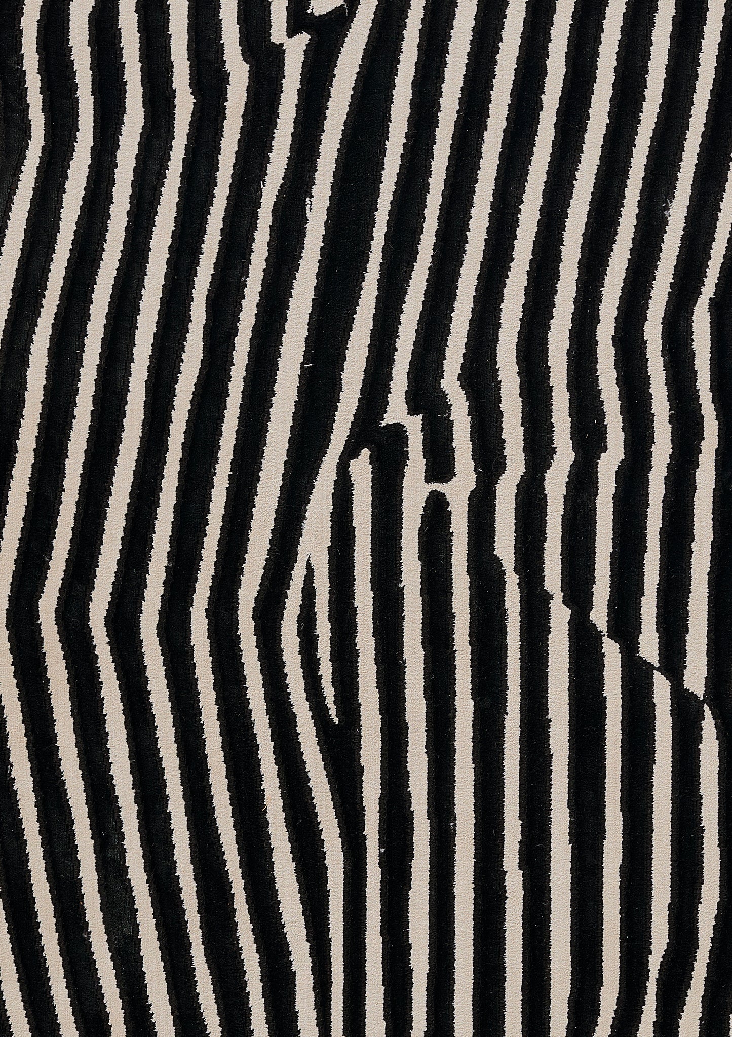 Momeni Xander  Black  Contemporary