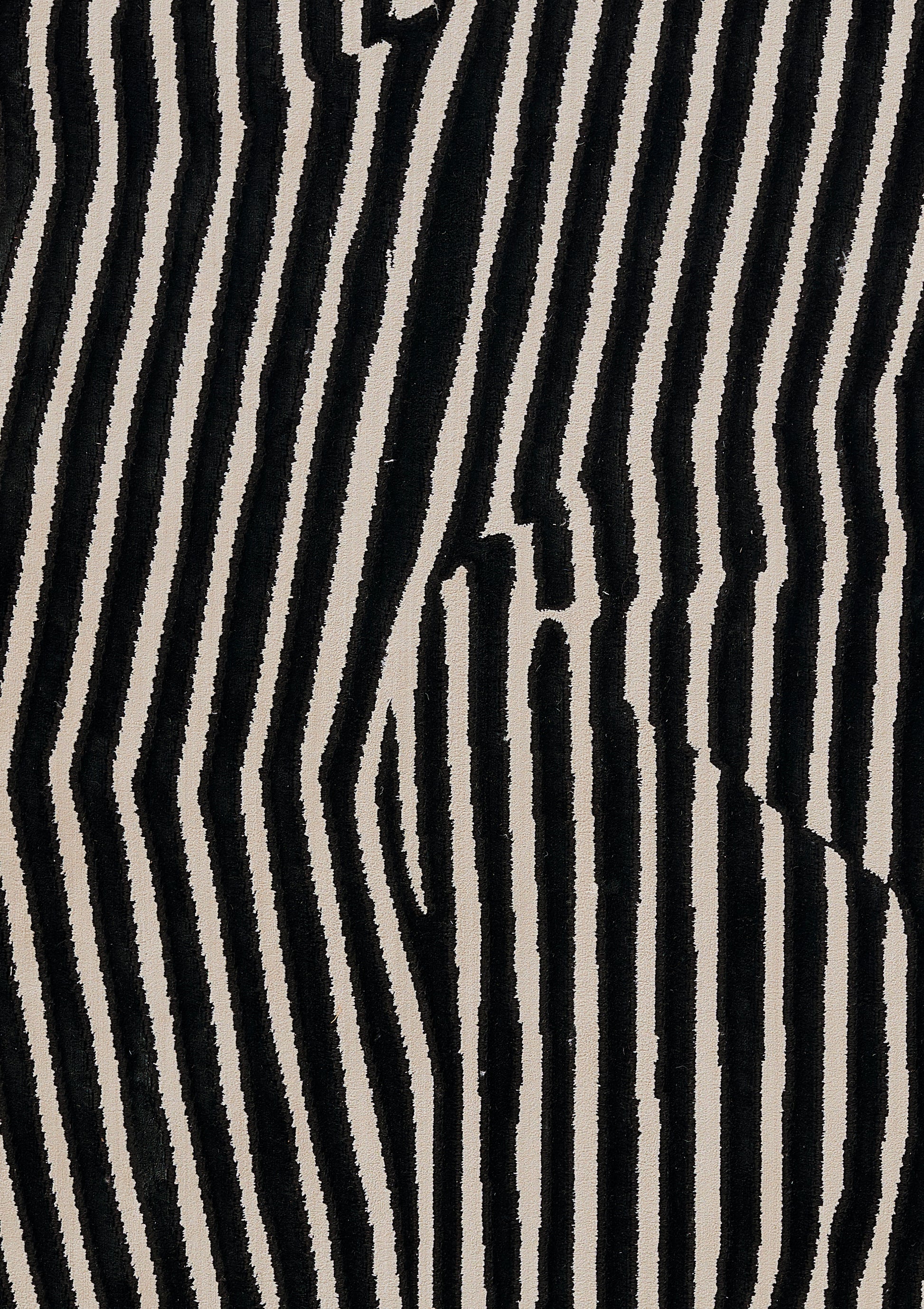 Momeni Xander  Black  Contemporary