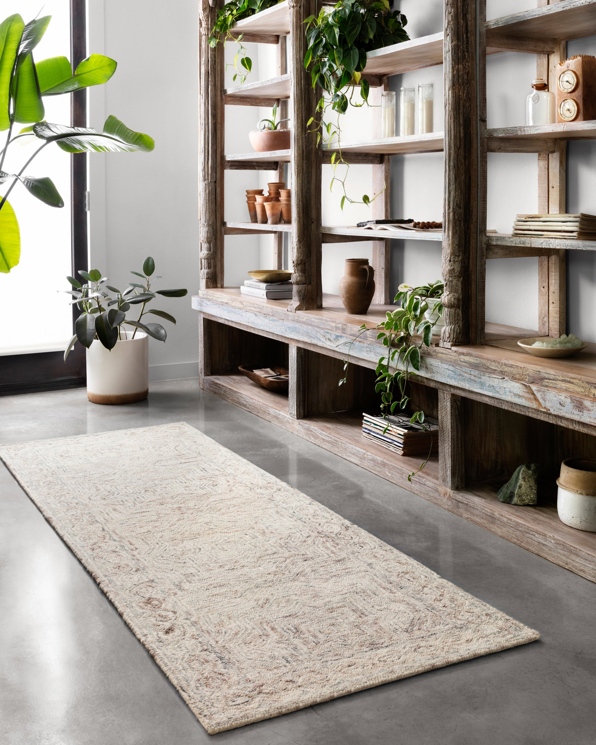 Loloi Ziva  Neutral  Contemporary