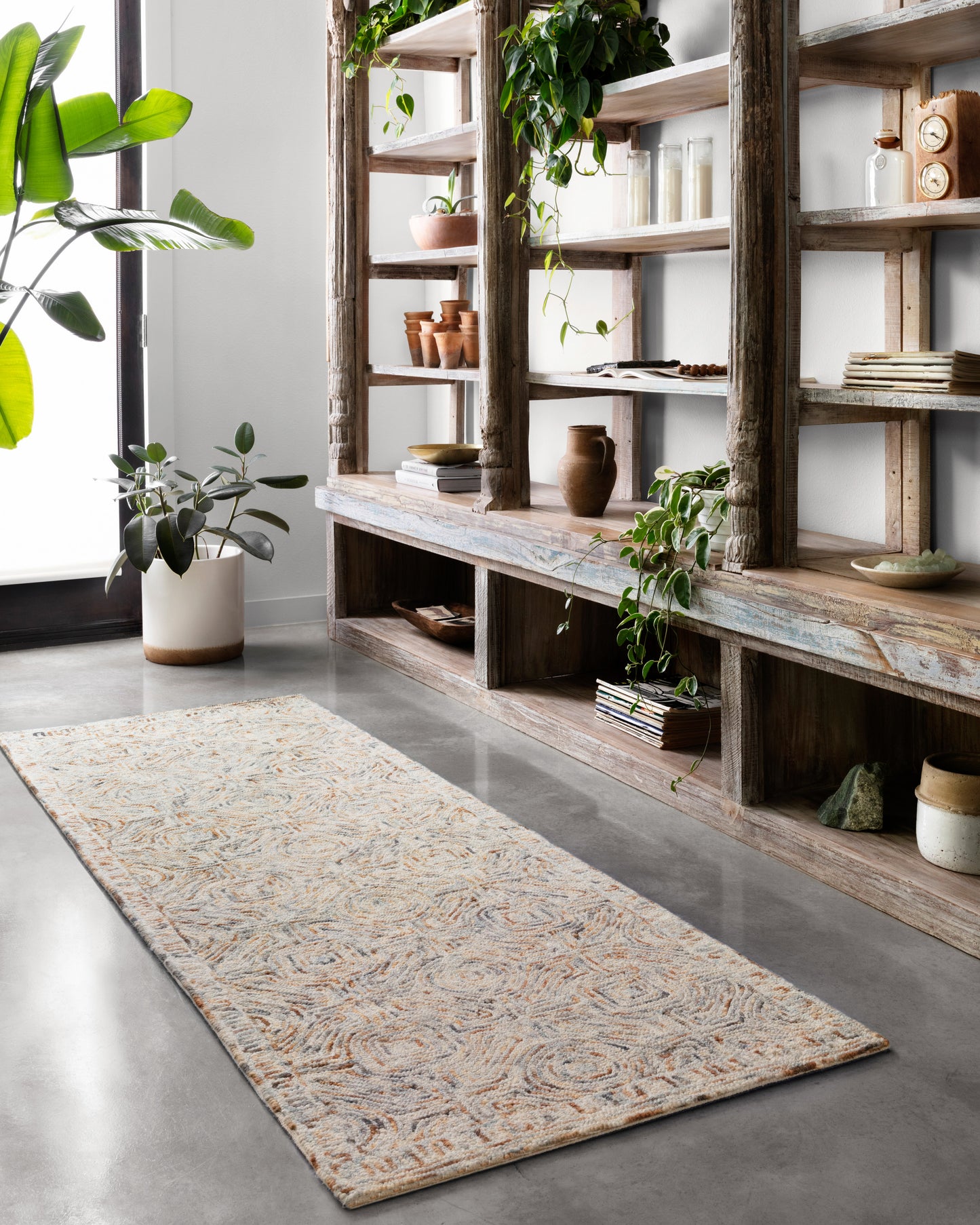 Loloi Ziva  Multi  Contemporary