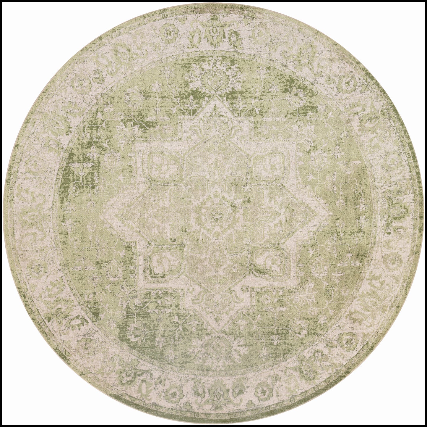 Nourison Home Astra Machine Washable ASW12 Ivory Green Traditional Power-loomed Rug