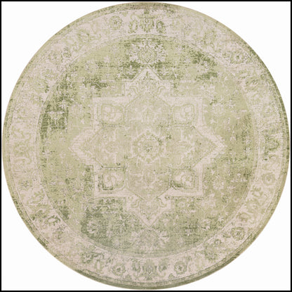 Nourison Home Astra Machine Washable ASW12 Ivory Green Traditional Power-loomed Rug