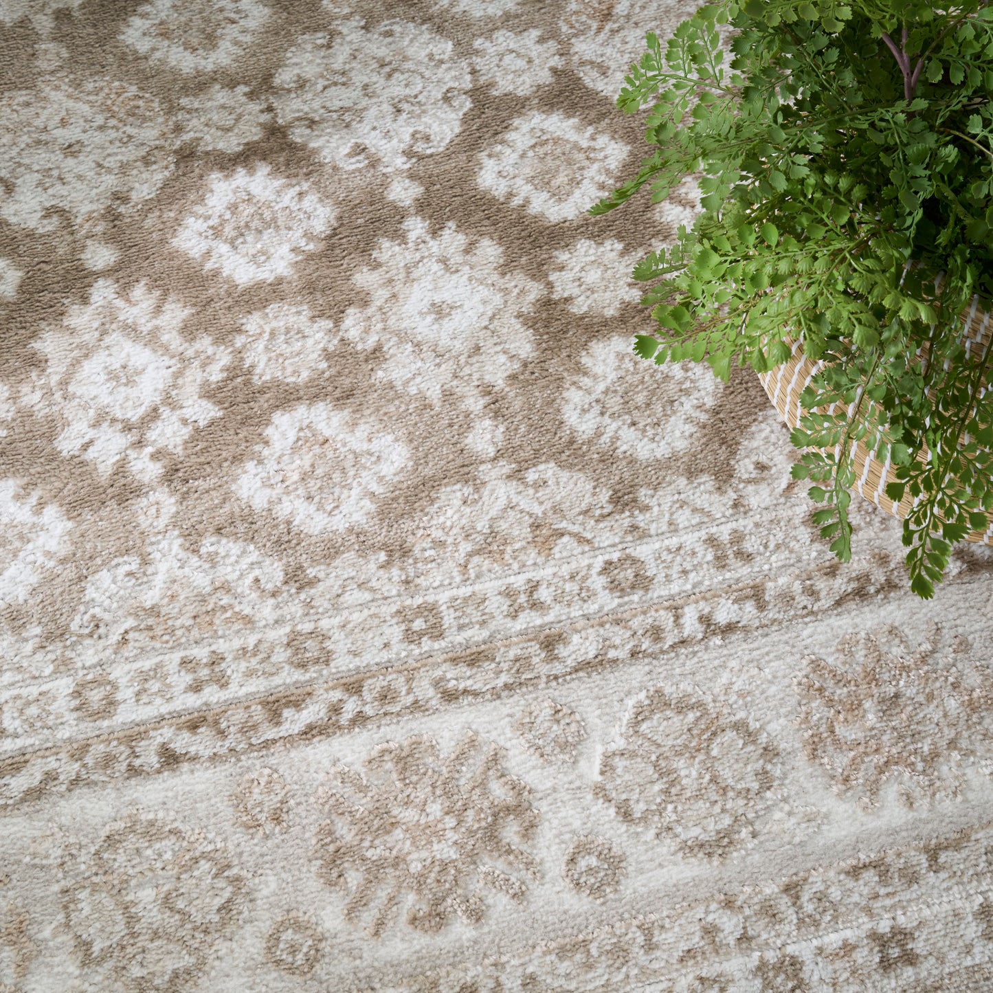 Nourison Home Dekor  Ivory Taupe  Traditional