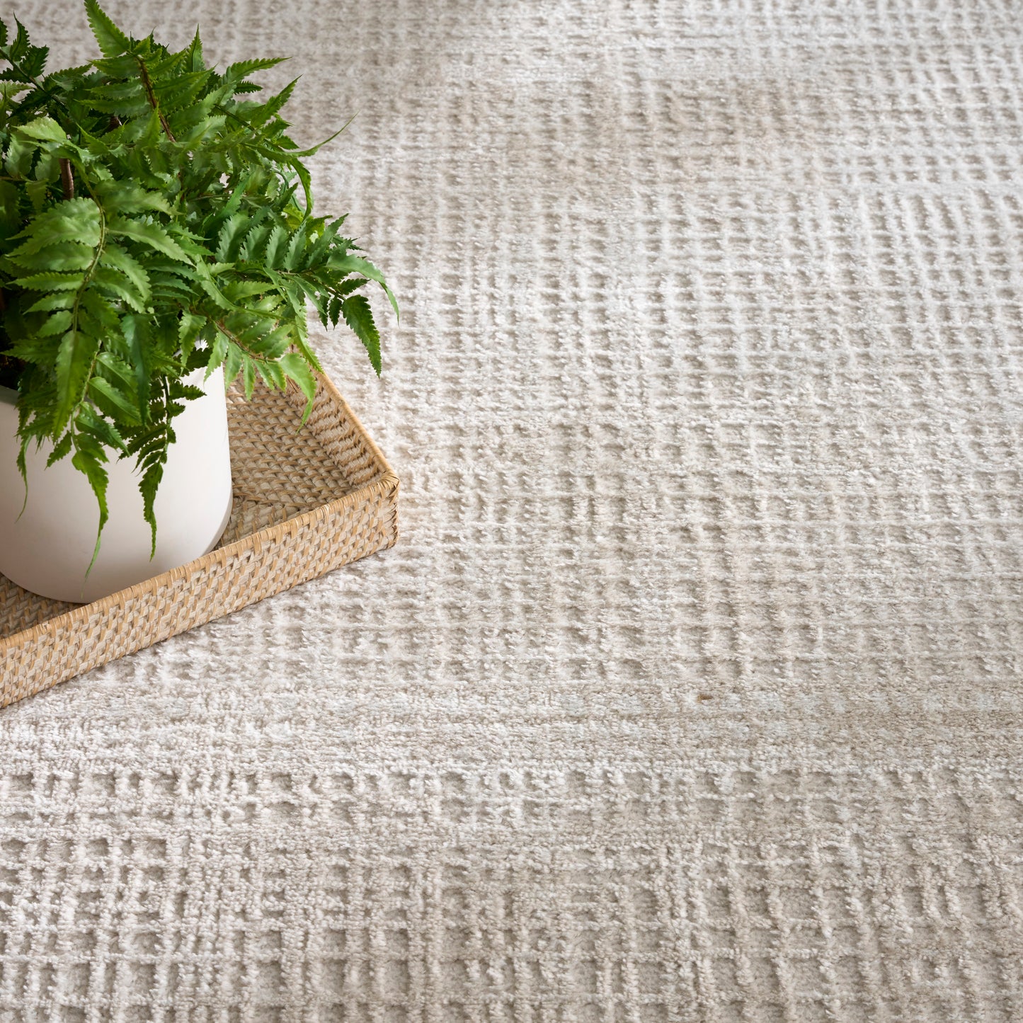 Nourison Home Dekor  Beige  Contemporary