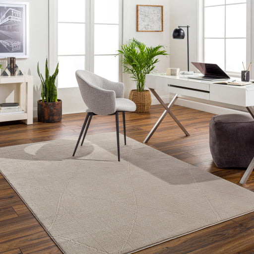 Surya Alder ALD-2301 Taupe Global Machinemade Rug