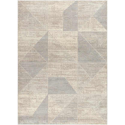 Surya Alder ALD-2310 Taupe Modern Machinemade Rug