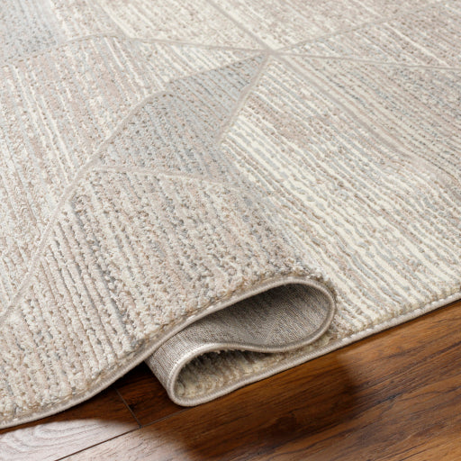 Surya Alder ALD-2310 Taupe Modern Machinemade Rug