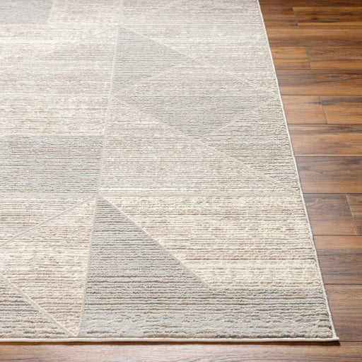 Surya Alder ALD-2310 Taupe Modern Machinemade Rug