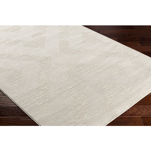 Surya Alder ALD-2311 Gray Modern Machinemade Rug
