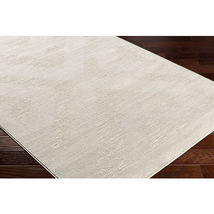 Surya Alder ALD-2311 Gray Modern Machinemade Rug