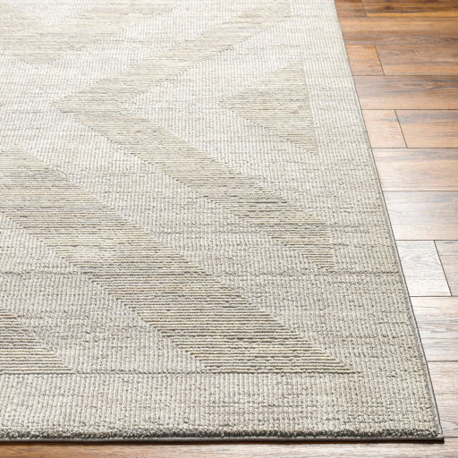 Surya Alder ALD-2311 Gray Modern Machinemade Rug