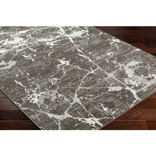 Surya Alder ALD-2312 Gray Modern Machinemade Rug