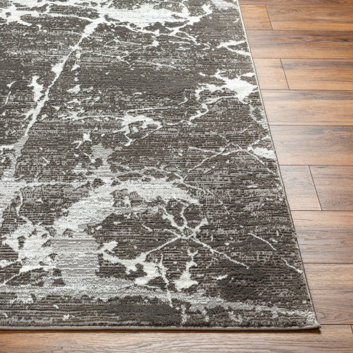 Surya Alder ALD-2312 Gray Modern Machinemade Rug