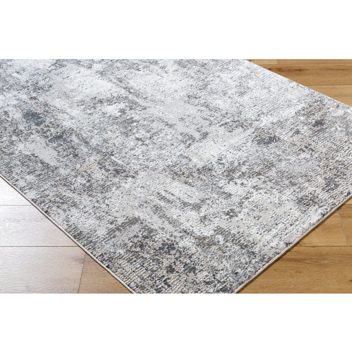 Surya Alder ALD-2319 Taupe Modern Machinemade Rug