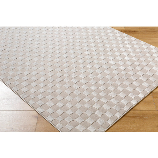 Surya Alder ALD-2321 Taupe Modern Machinemade Rug
