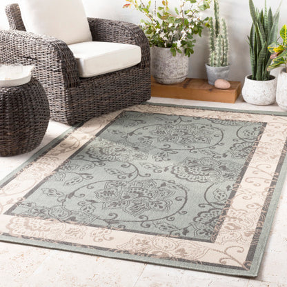 Surya Alfresco ALF-9594 Dusty Sage Traditional Machinemade Rug