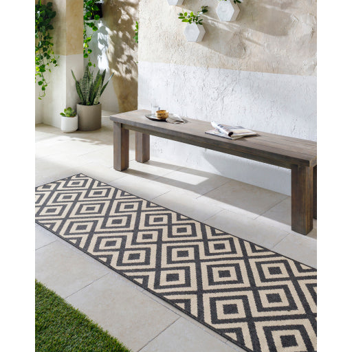 Surya Alfresco ALF-9639 Black Modern Machinemade Rug