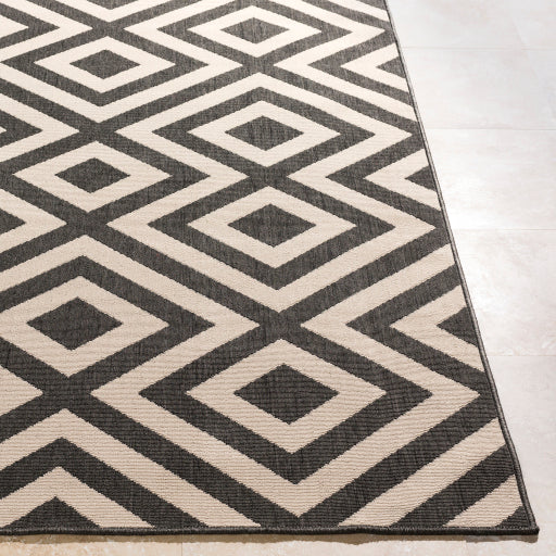 Surya Alfresco ALF-9639 Black Modern Machinemade Rug