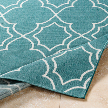 Surya Alfresco ALF-9653 Teal Cottage Machinemade Rug