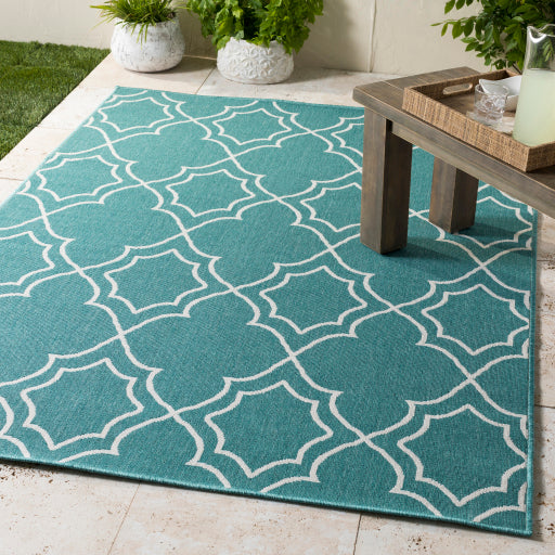 Surya Alfresco ALF-9653 Teal Cottage Machinemade Rug
