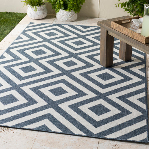 Surya Alfresco ALF-9657 Navy Modern Machinemade Rug