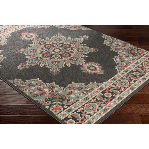 Surya Alfresco ALF-9671 Black Traditional Machinemade Rug