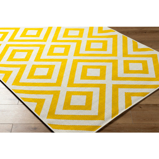 Surya Alfresco ALF-9688  Modern Machinemade Rug