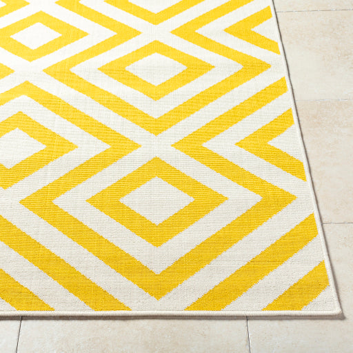 Surya Alfresco ALF-9688  Modern Machinemade Rug