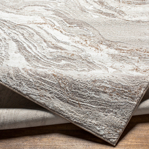 Surya Allegro ALG-2318 Ivory Modern Machinemade Rug