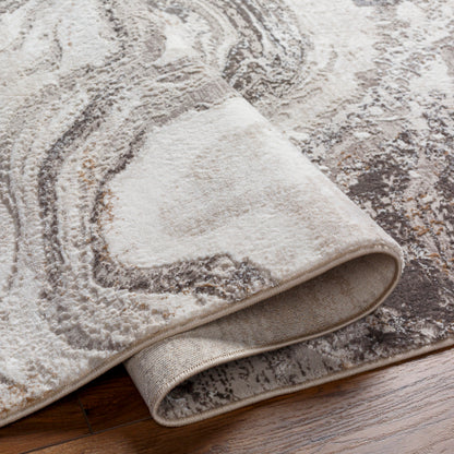 Surya Allegro ALG-2319 Ivory Modern Machinemade Rug