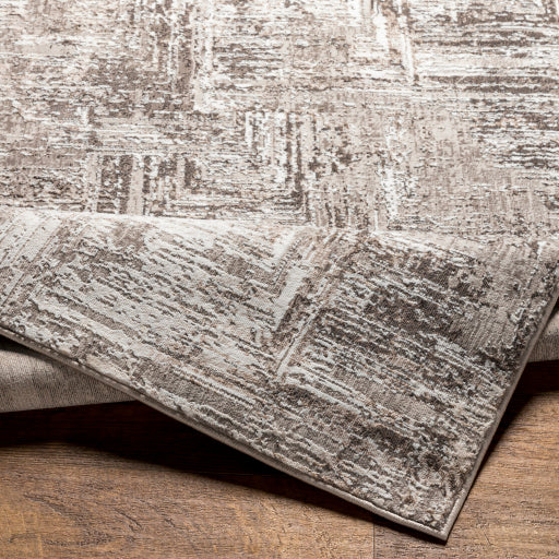 Surya Allegro ALG-2321 Ivory Modern Machinemade Rug