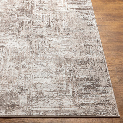 Surya Allegro ALG-2321 Ivory Modern Machinemade Rug