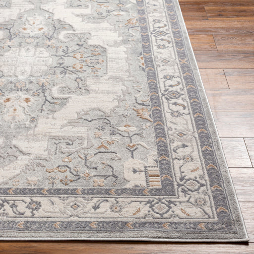 Surya Alamo ALO-2300 Gray Traditional Machinemade Rug