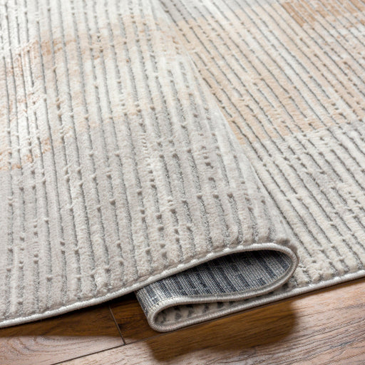 Surya Alamo ALO-2301 Charcoal Modern Machinemade Rug