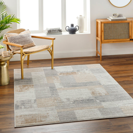 Surya Alamo ALO-2301 Charcoal Modern Machinemade Rug