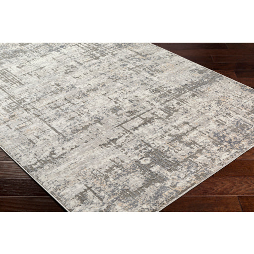 Surya Alamo ALO-2310 Gray Modern Machinemade Rug