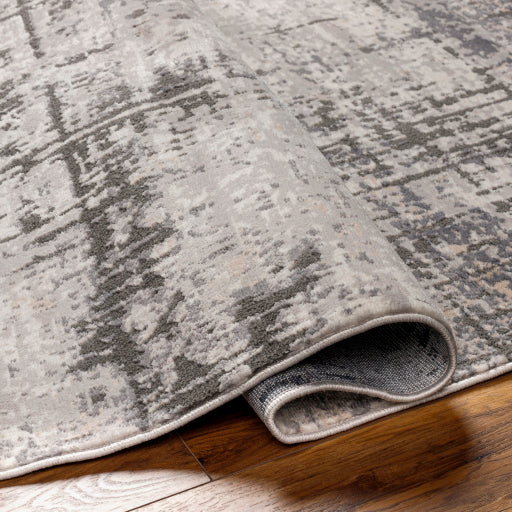 Surya Alamo ALO-2310 Gray Modern Machinemade Rug