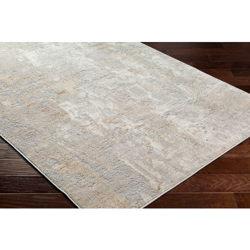 Surya Alamo ALO-2311 Tan Modern Machinemade Rug
