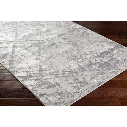 Surya Alamo ALO-2312 Gray Modern Machinemade Rug