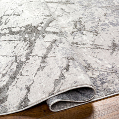Surya Alamo ALO-2312 Gray Modern Machinemade Rug