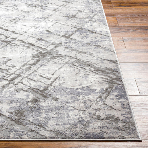 Surya Alamo ALO-2312 Gray Modern Machinemade Rug