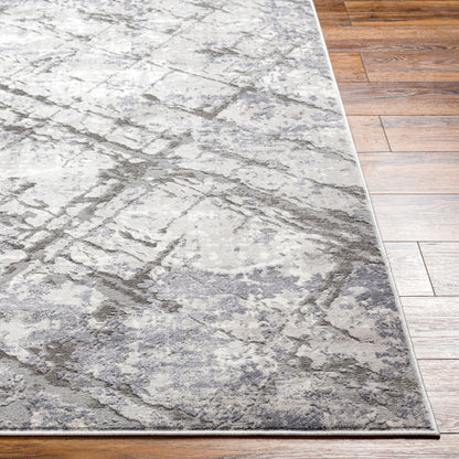 Surya Alamo ALO-2312 Gray Modern Machinemade Rug