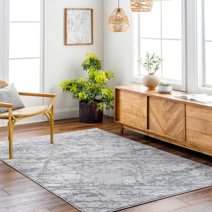 Surya Alamo ALO-2312 Gray Modern Machinemade Rug